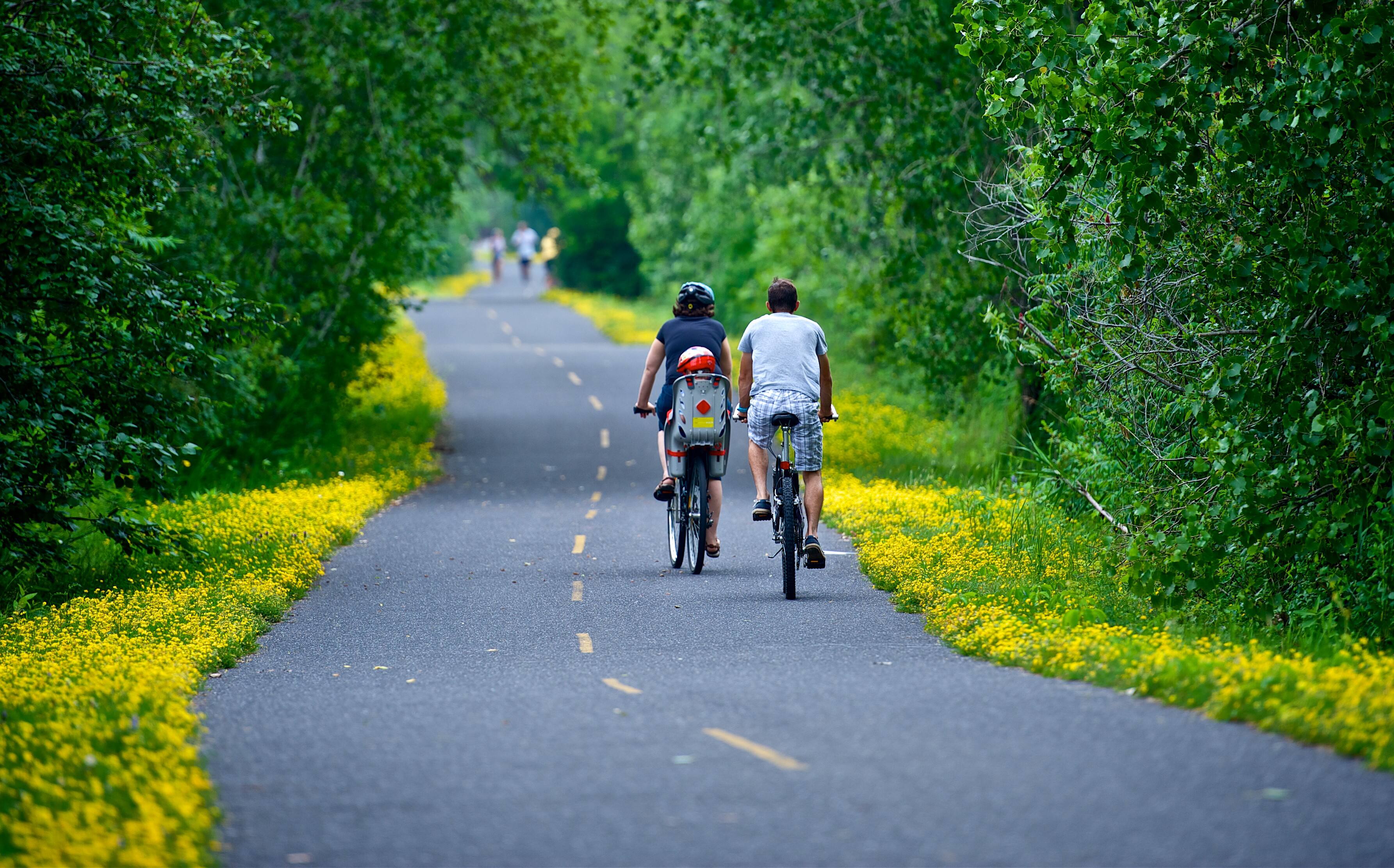 7 Best Cycling Routes in Quebec for Your Next Vacation - News Directory 3