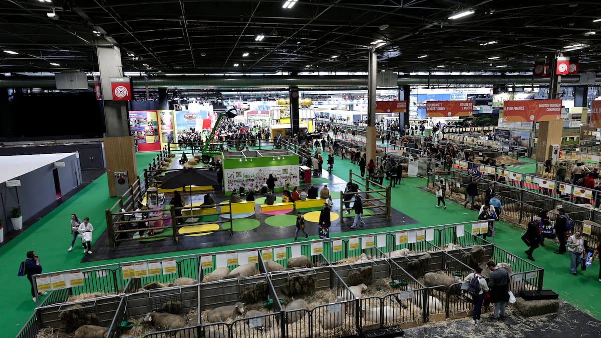 Coups de poing, couteaux brandis, crachats sur de la nourriture: 15 personnes arrêtées au Salon de l’agriculture à Paris