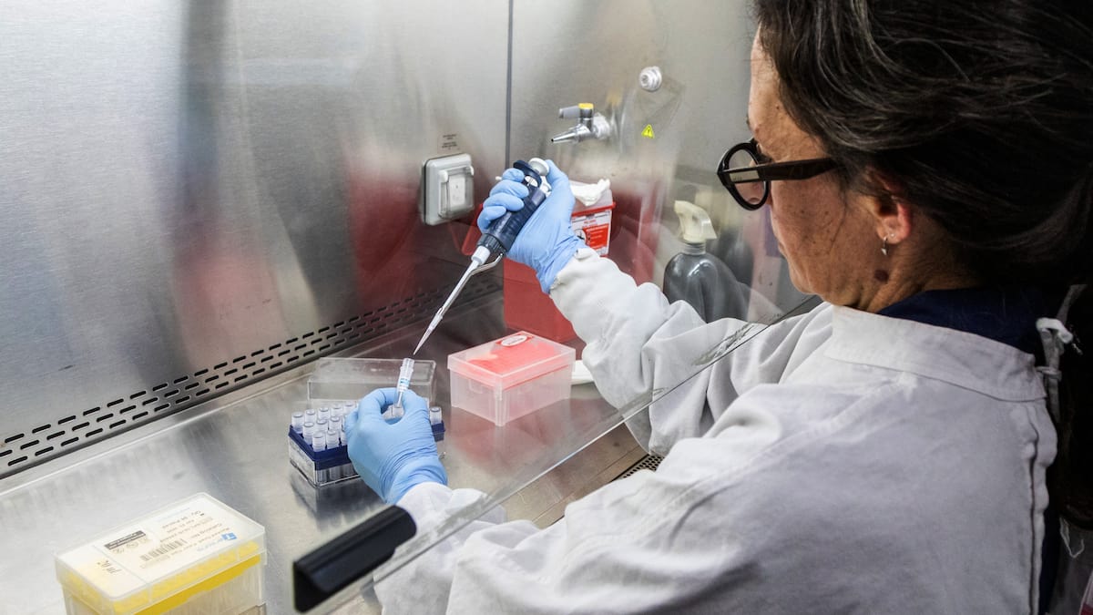 Dépistage de l’hantavirus en croisière: le déroulement de la collecte ...