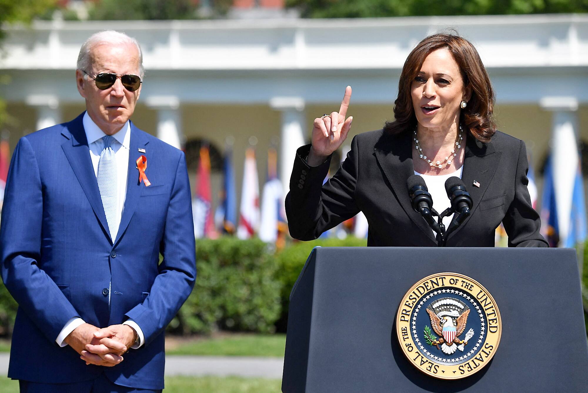 Candidature de Kamala Harris: &laquo;Une bonne affaire&raquo;, estime un &eacute;lecteur d&eacute;mocrate