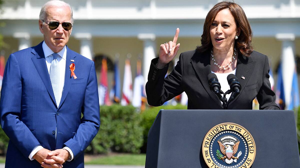 Candidature de Kamala Harris: «Une bonne affaire», estime un électeur démocrate