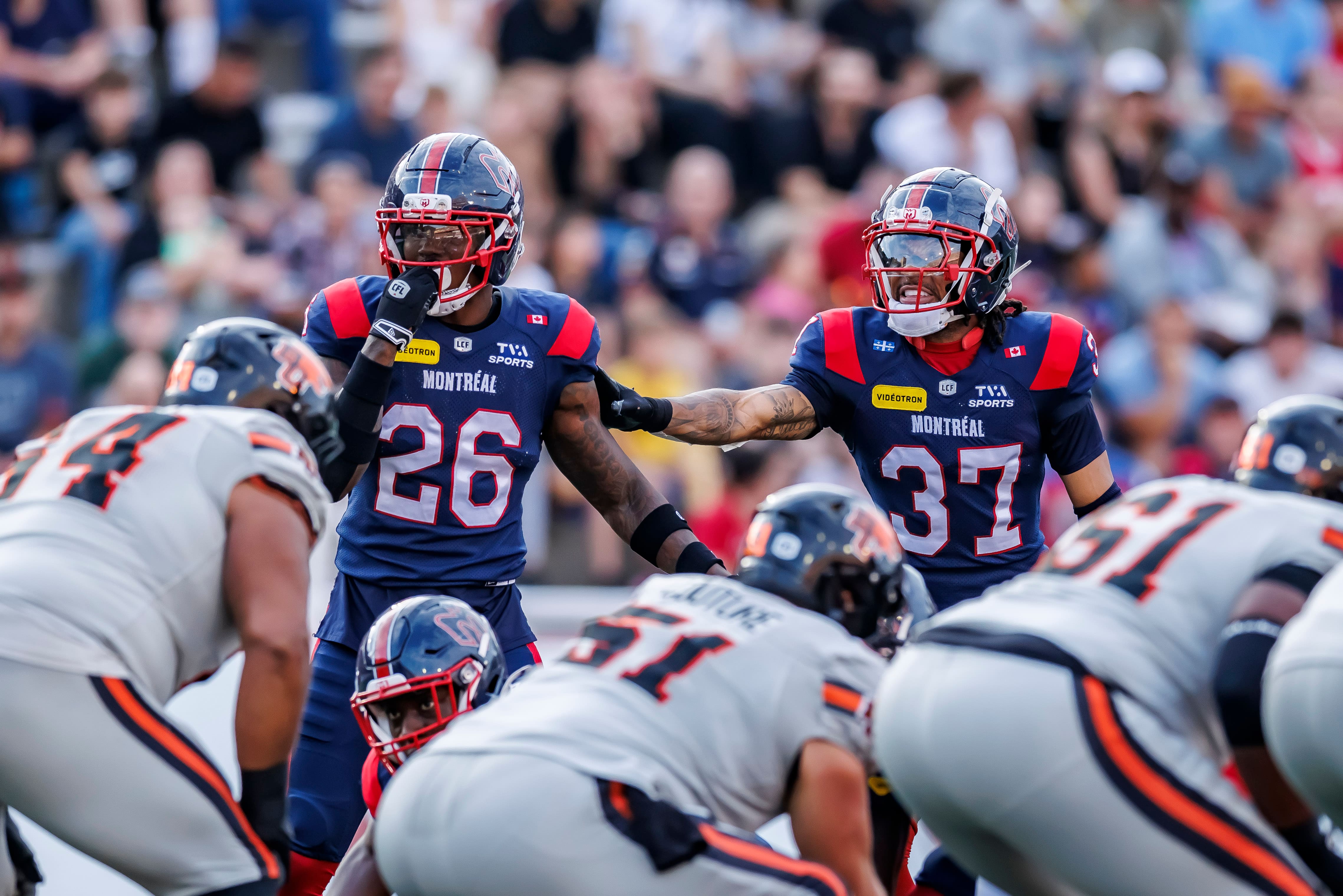 Les Lions prennent leur revanche sur les Alouettes