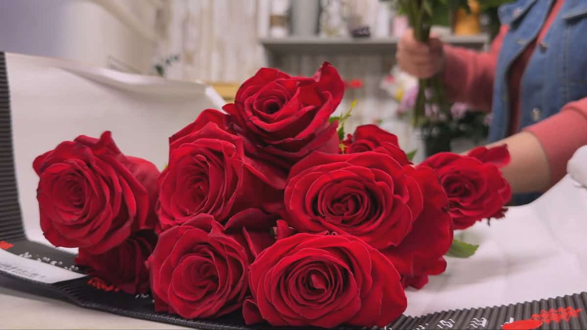 5000 Roses «1000 bouquets vendus, c'est 5000 roses»: les fleuristes se préparent à ...