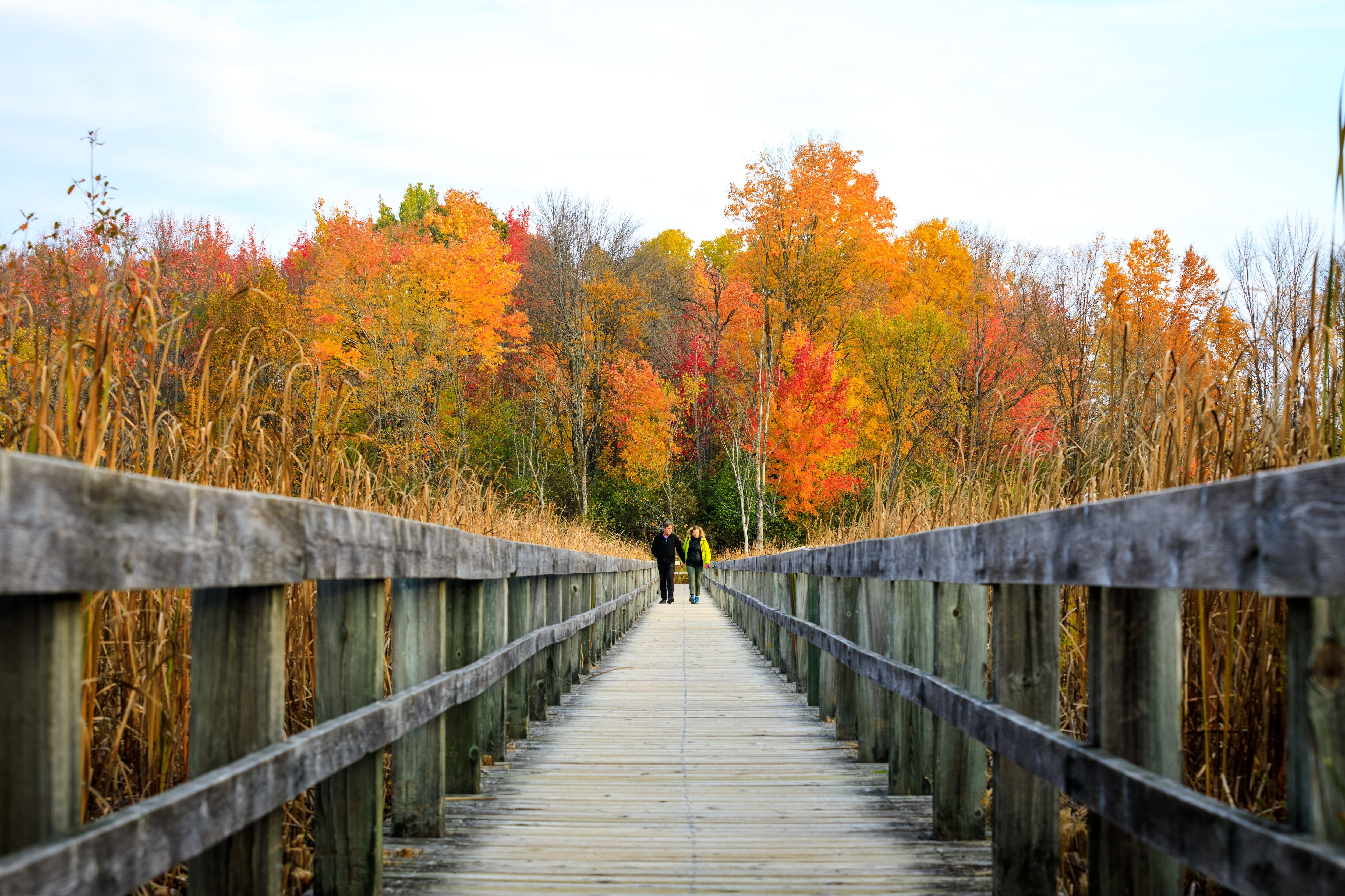 L’automne à Ottawa : une évasion au fil des couleurs