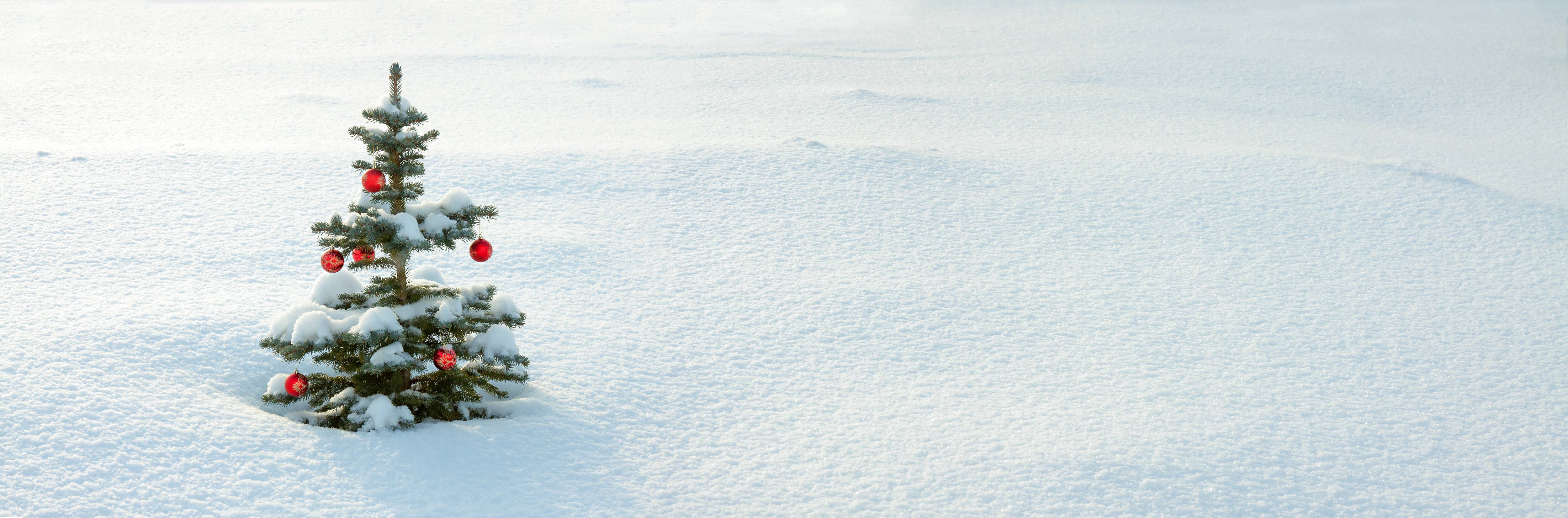 Être célibataire pendant le temps des Fêtes