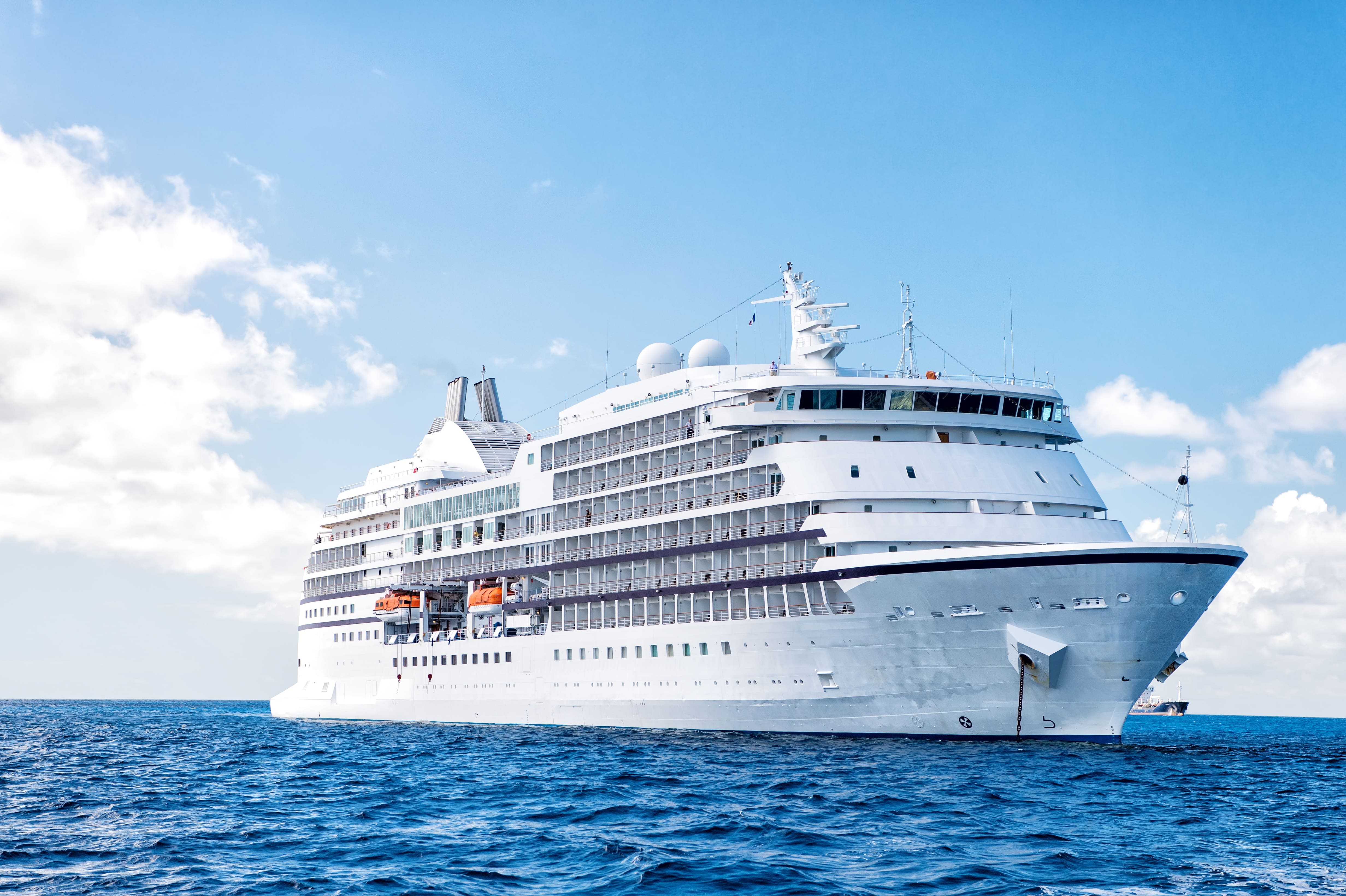Morts en croisière dans l'Atlantique: un virus transmis par les rongeurs en cause?