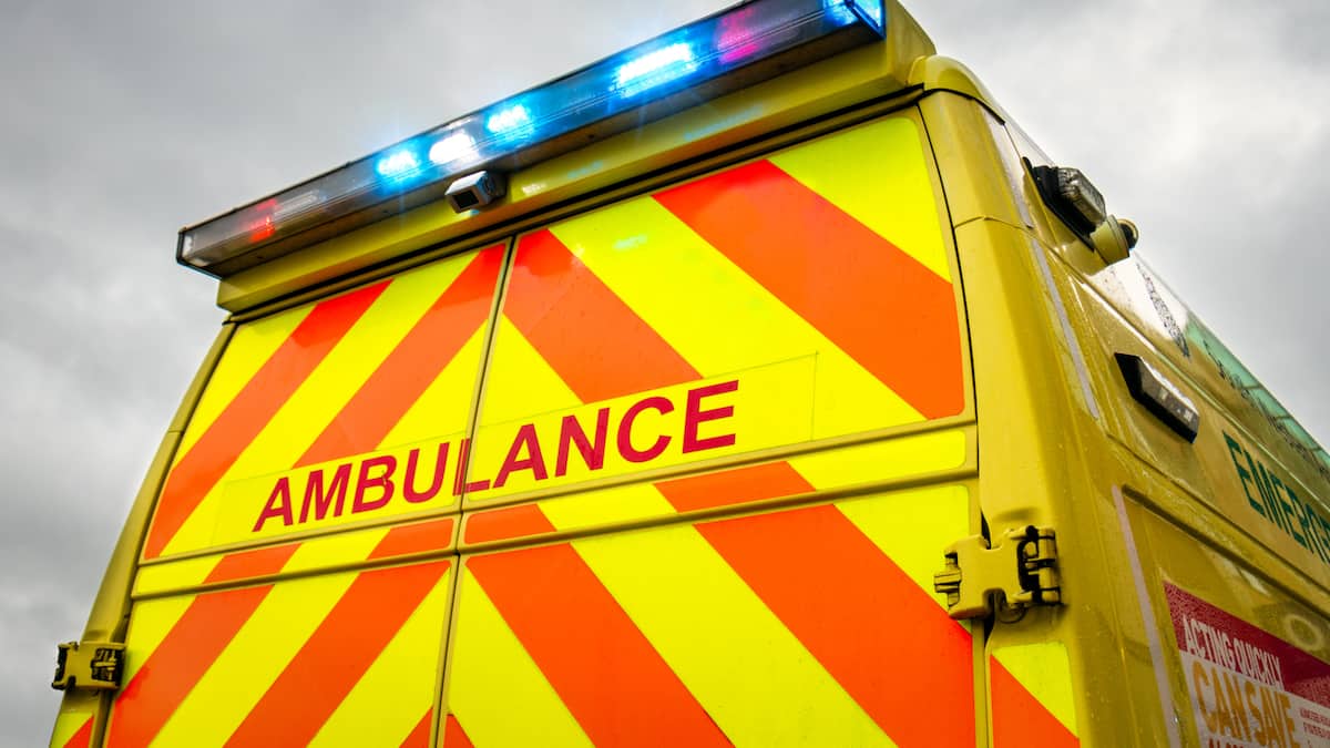Serial illnesses and disrupted traffic at the port of Antwerp after a toxic leak in Belgium Serial illnesses and disrupted traffic at the port of Antwerp after a toxic leak in Belgium