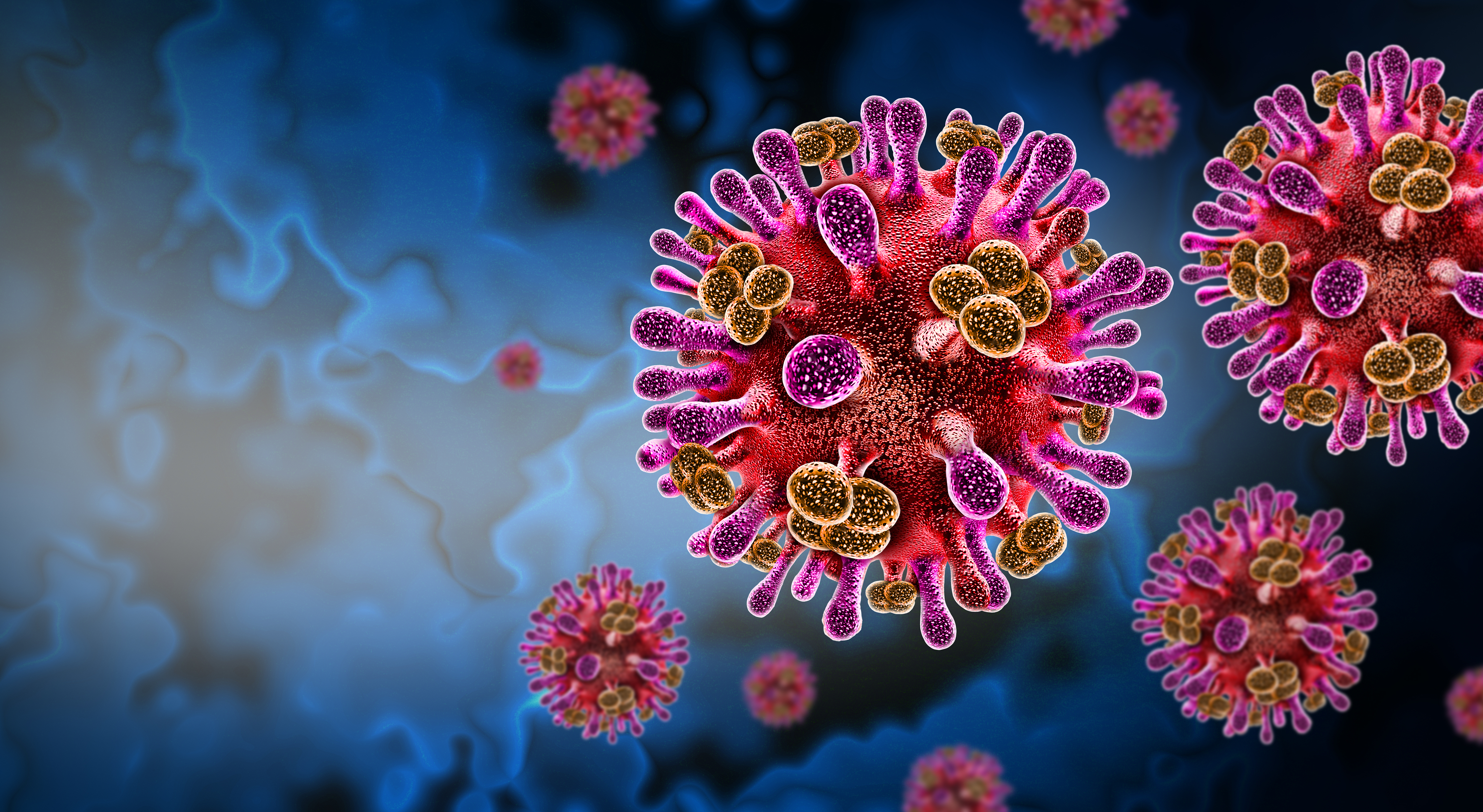 Épidémie de Nipah en Inde: voici ce que l’on sait sur ce virus inquiétant