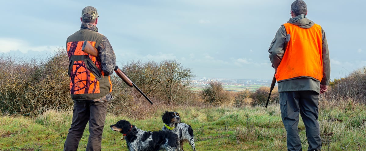 COVID-19: Quebec asks hunters for help to curb the spread of the virus 1