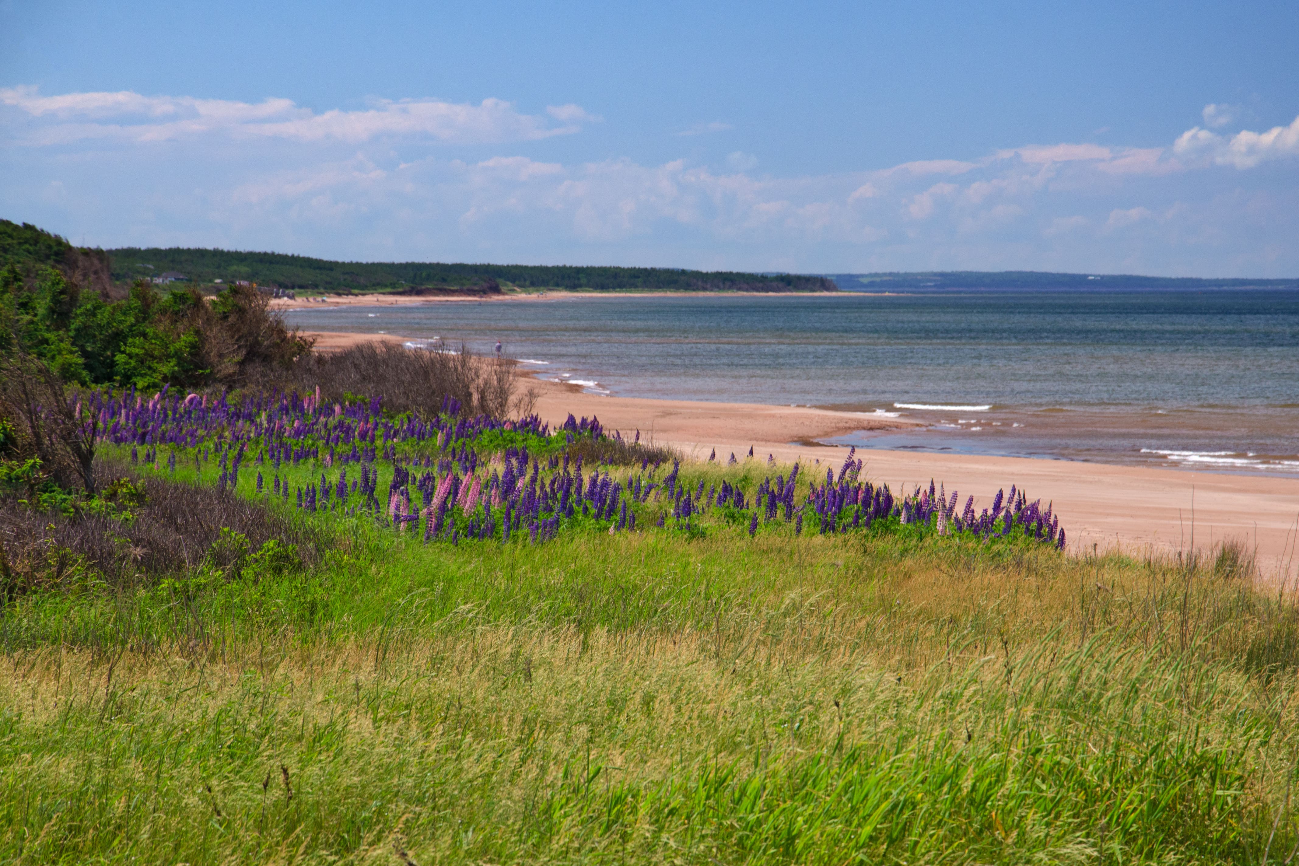 Plage de Brackley, parc national de l’Île-du-Prince-Édouard