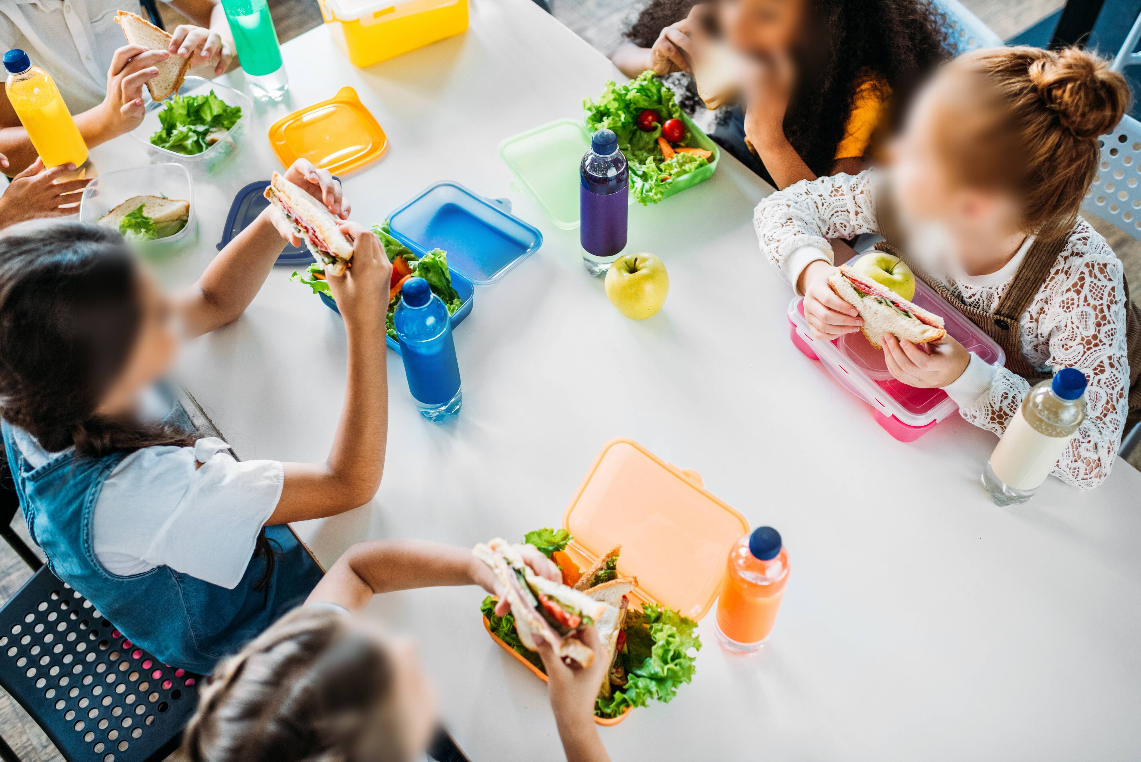 &laquo;1 enfant sur 5 dans les &eacute;coles a faim&raquo;: Qu&eacute;bec solidaire fait de l&rsquo;alimentation scolaire son cheval de bataille