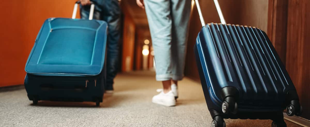 Snowbirds have lead in the wing 1