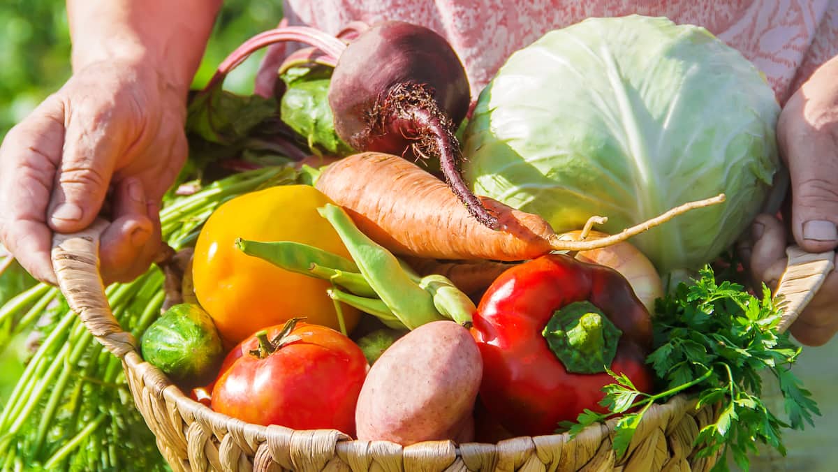 Budget Girard : 627 M$ pour le bioalimentaire