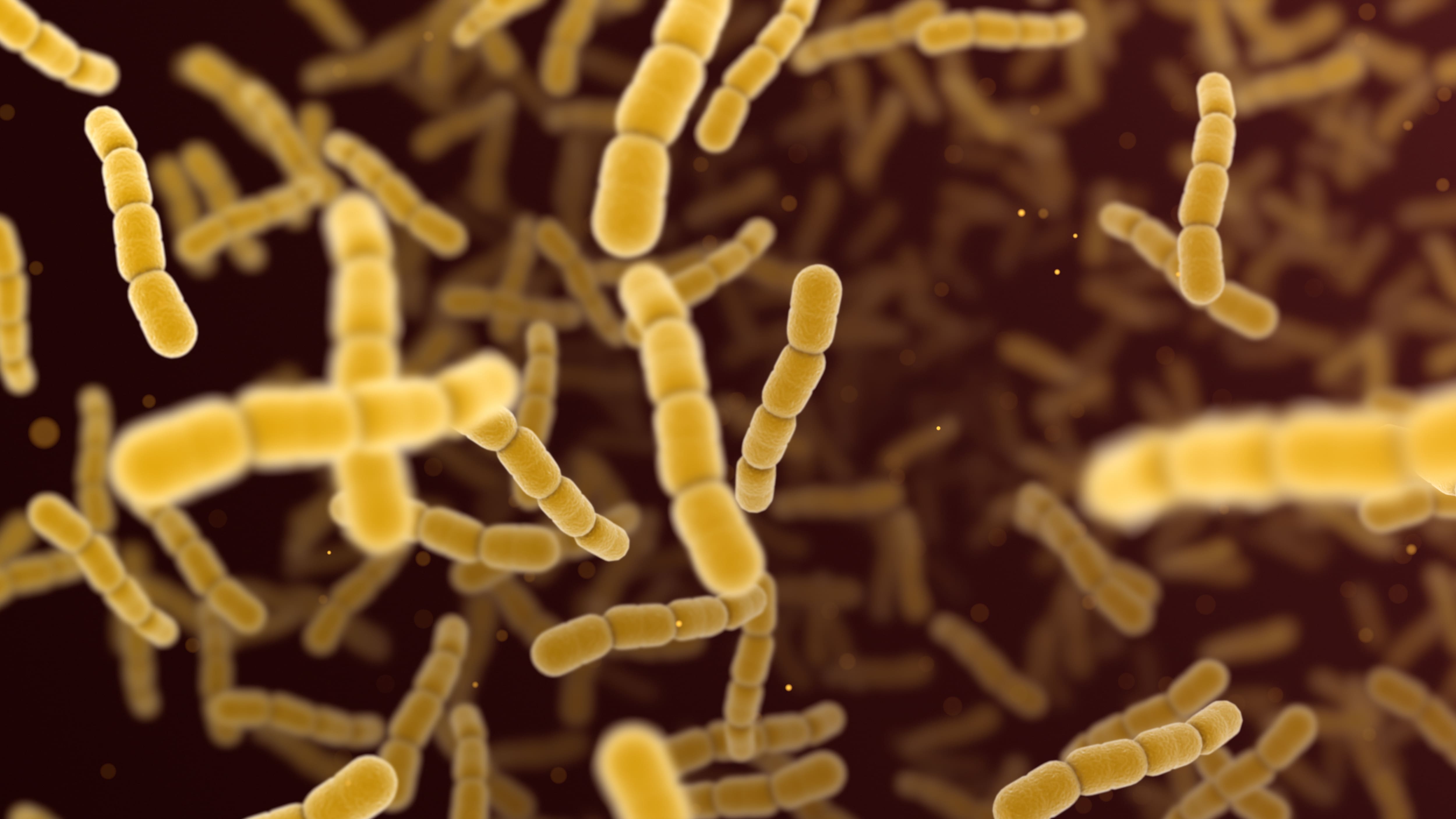 Mortality of six children after Streptococci A infection
