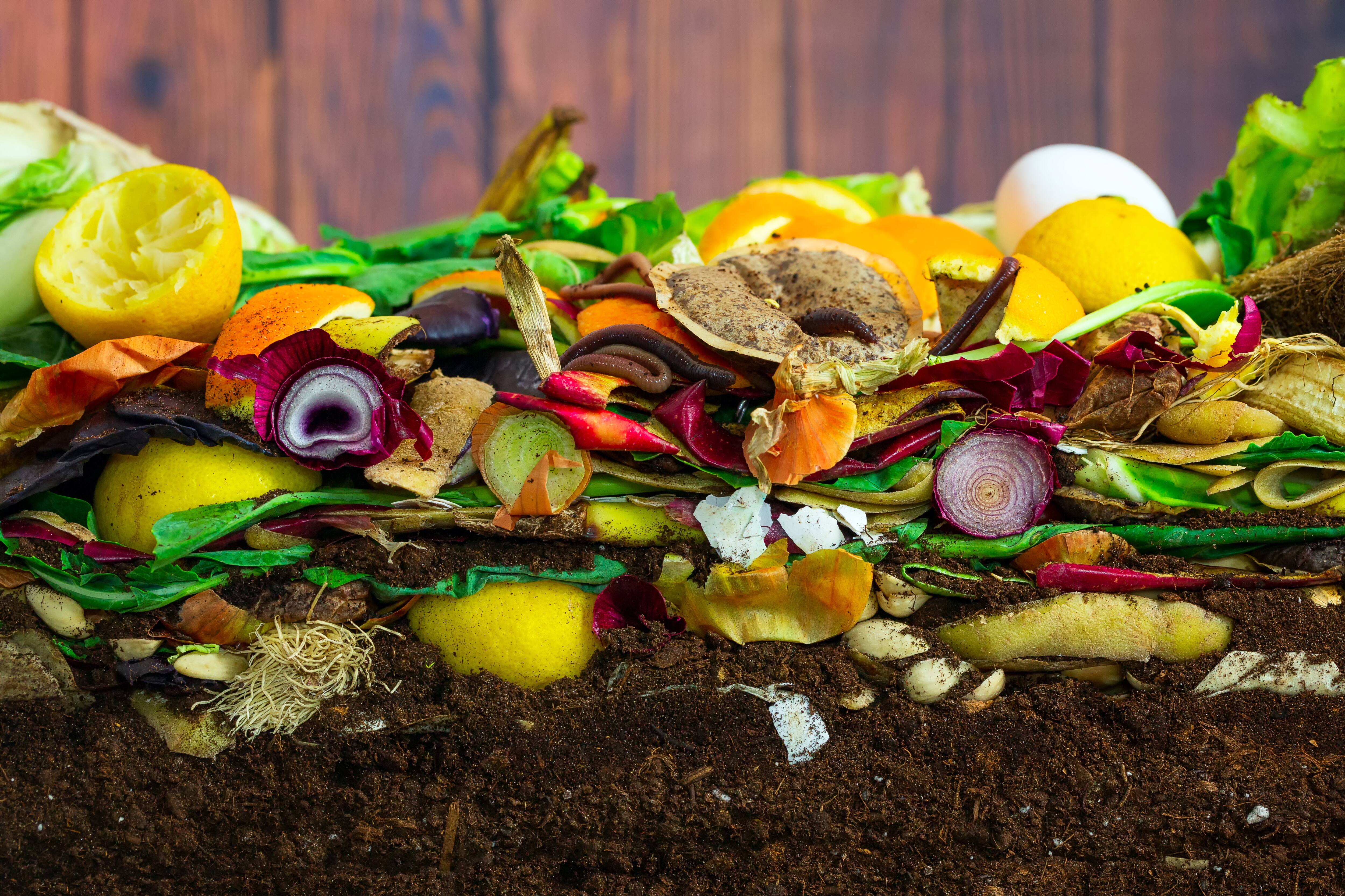 [BALADO] Le compost, ça pue, mais c’est bien! | JDM