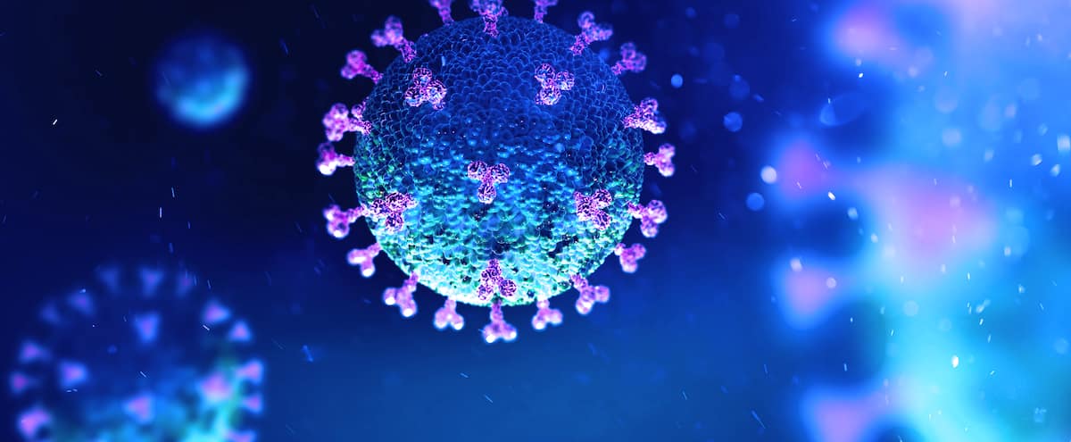 Covid 19 Nos Experts Repondent A Vos Questions Jdm