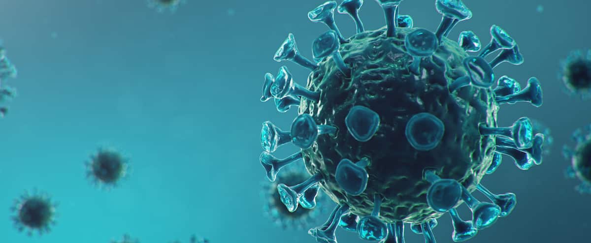 Coronavirus survives 9 hours on skin, 5 times longer than flu 1