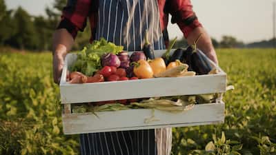 Fermier Plt Avez-vous votre fermier de famille? | Le Journal de Montréal