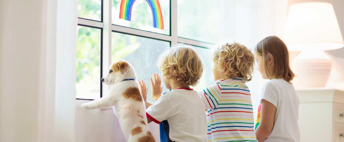 COVID-19: Foster families feel forgotten 1