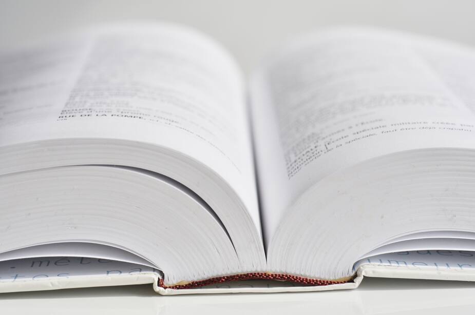 Image principale de l'article «Nounounerie» maintenant dans le Larousse