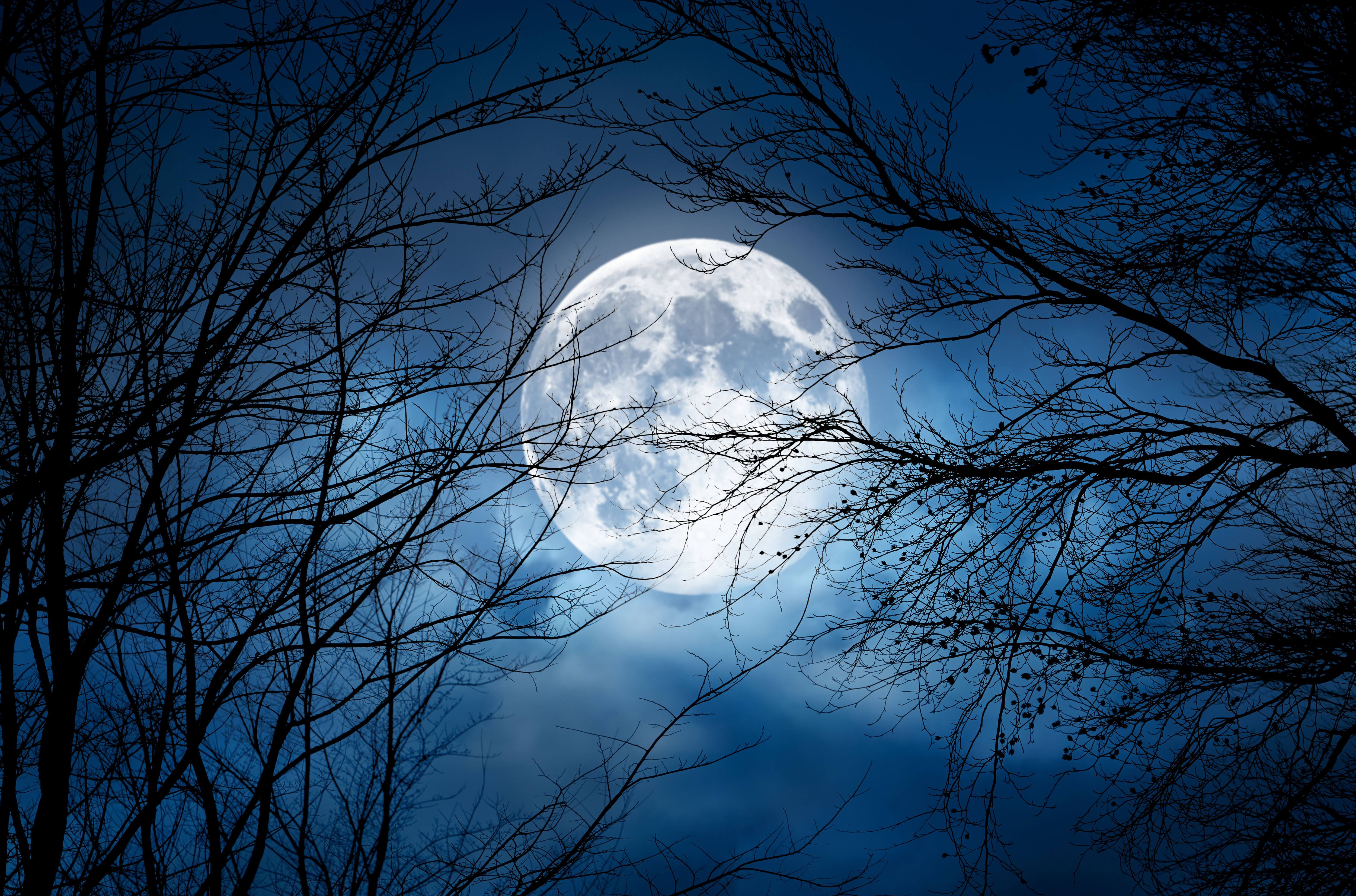 La Pleine Lune d'octobre sera très spéciale 