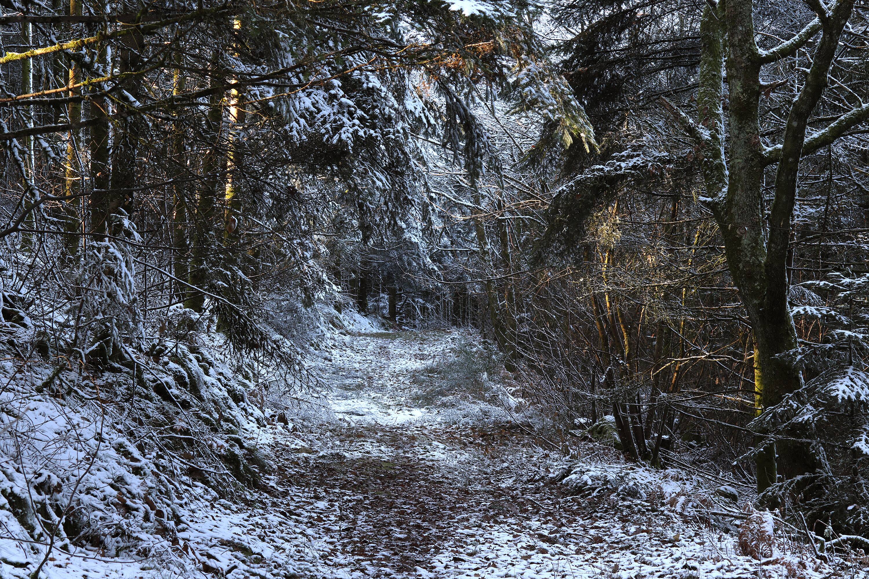Weather snow appears in Saguenay Archyde