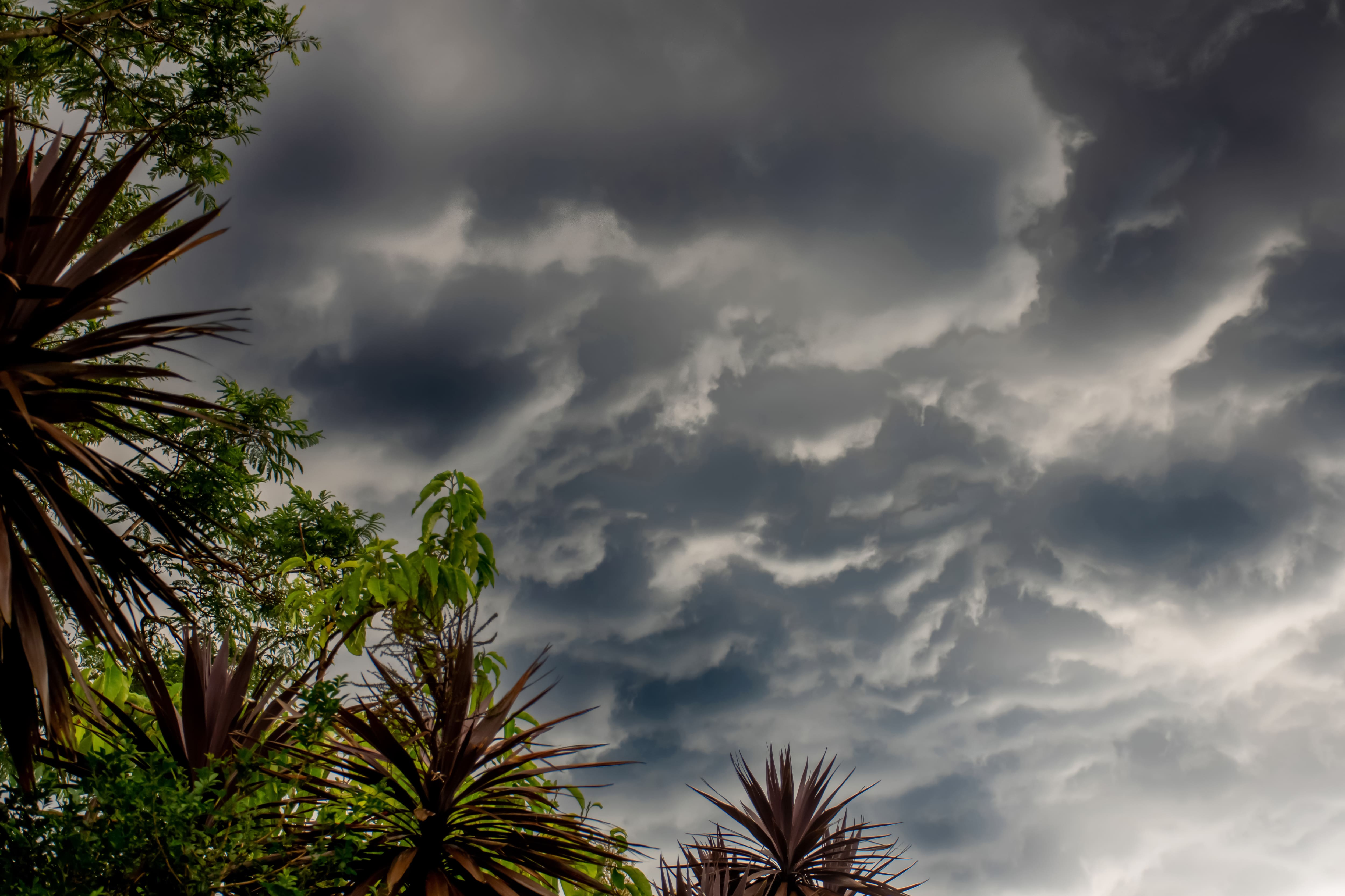 Title: El Niño 2026: Intense, Probable, and What You Need to Know