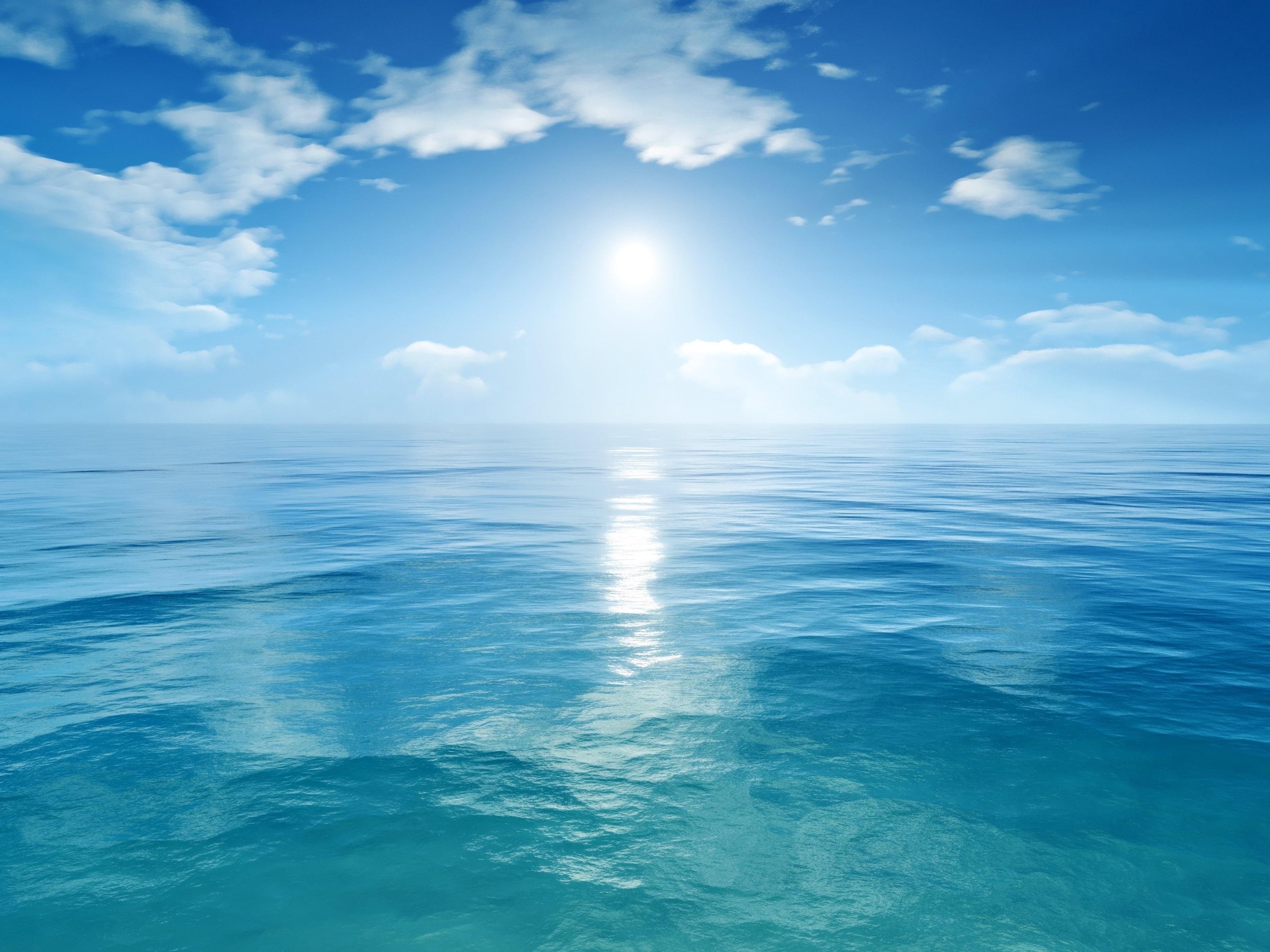 Boat sinks in Indonesia: one dead and 24 missing