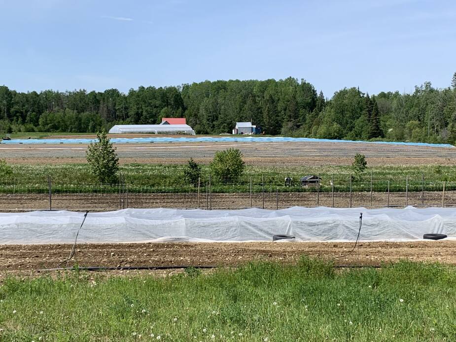 Image principale de l'article Beaucoup d’inquiétude chez les agriculteurs