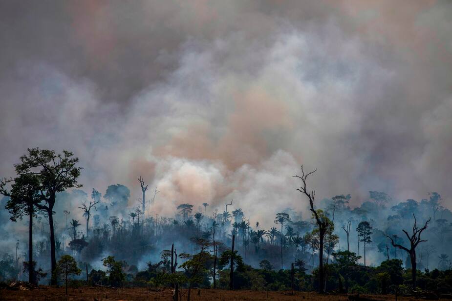 Image principale de l'article En voie de devenir une source de CO2