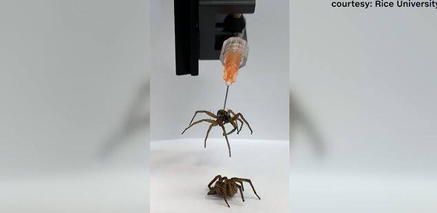 EN VID&Eacute;O | Les pattes d'araign&eacute;es, le futur dans la robotique?