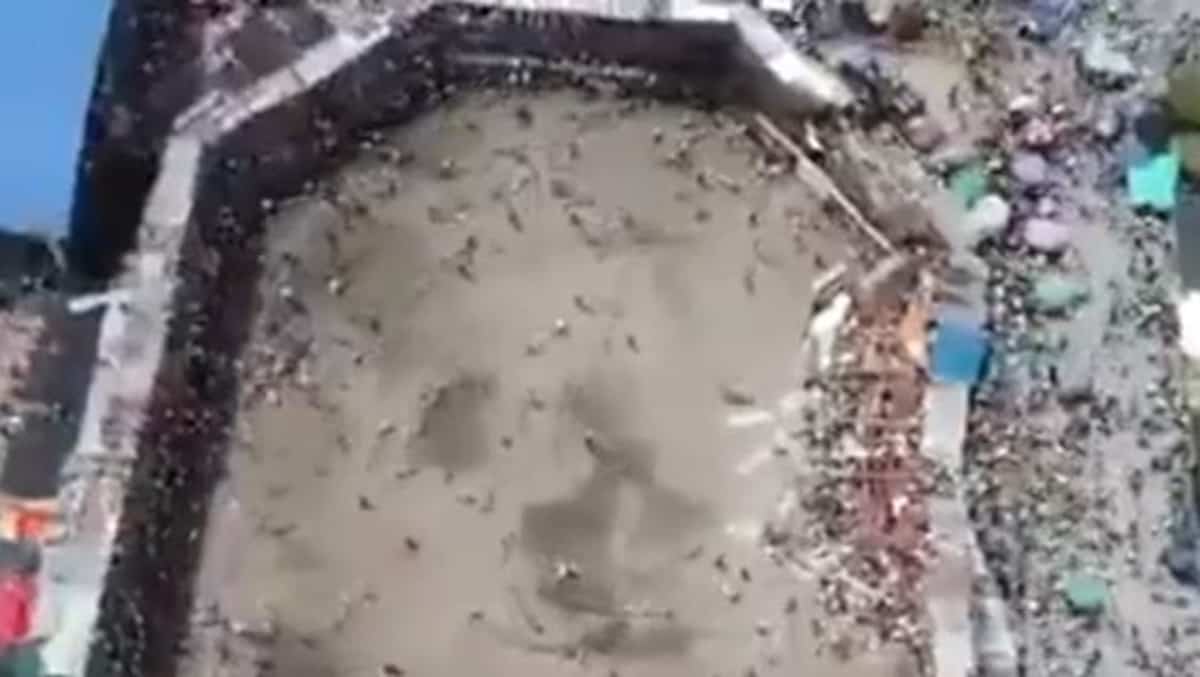 Pictures |  4 dead and about 30 injured after a yard collapse in Colombia Pictures |  4 dead and about 30 injured after a yard collapse in Colombia