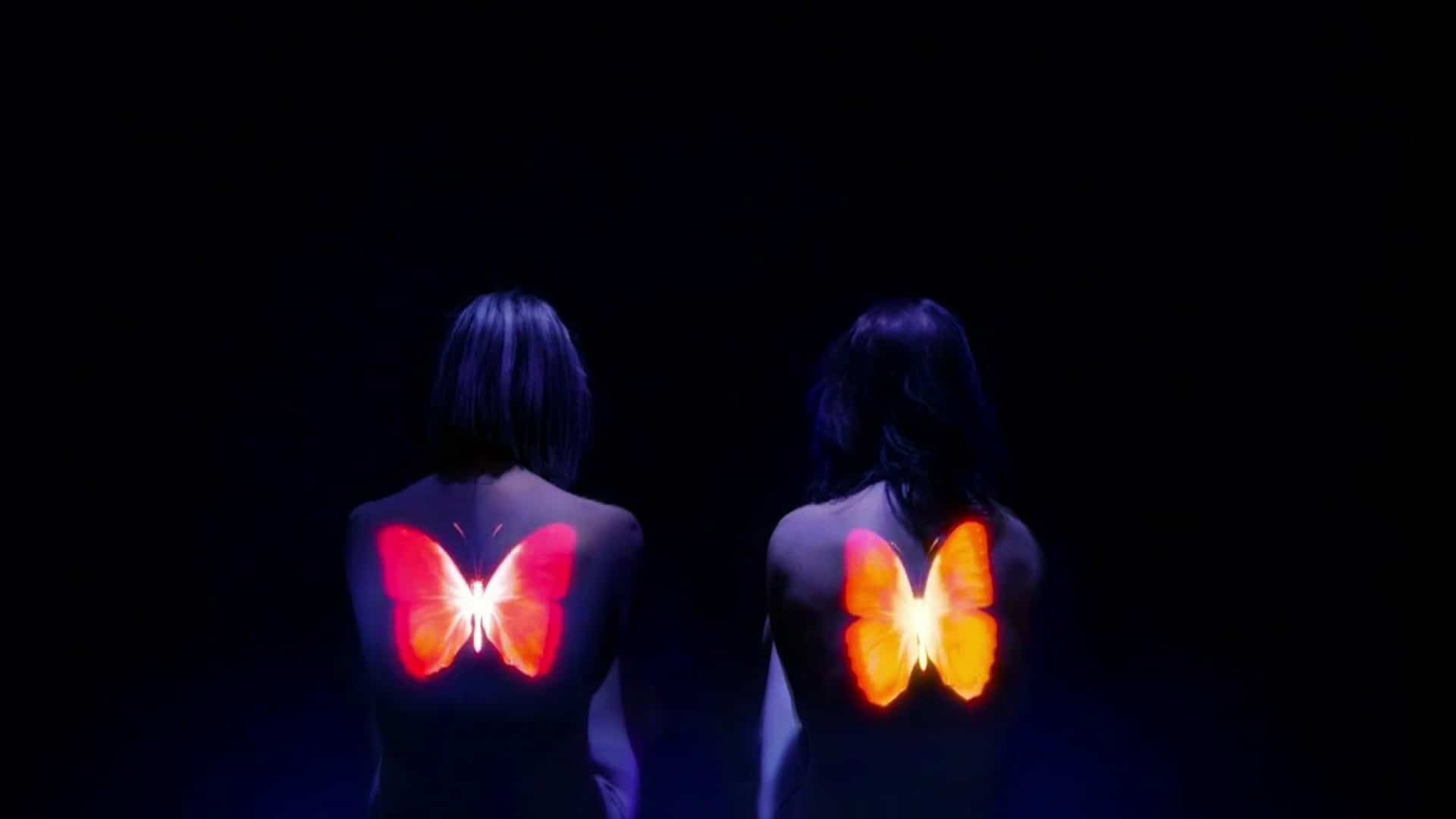 Artiste du mois de septembre: Mayfly