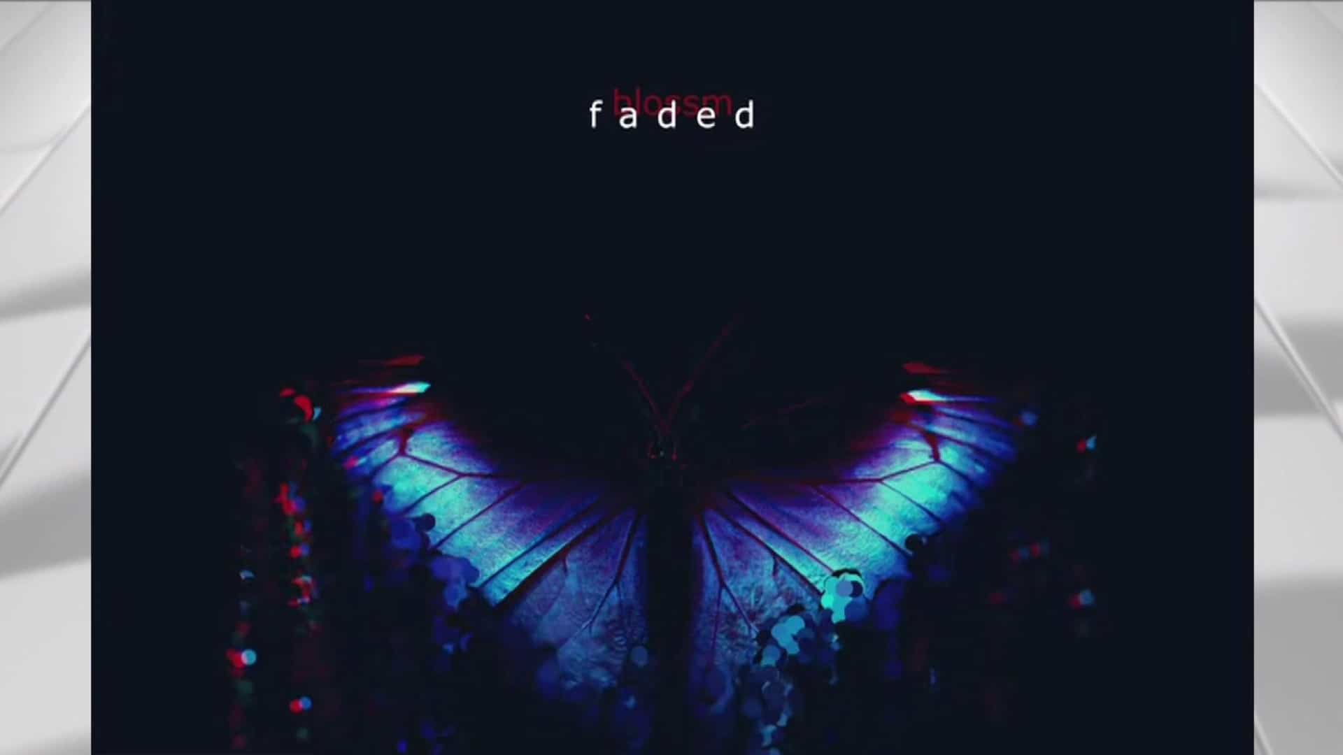 Artiste du mois: blossm