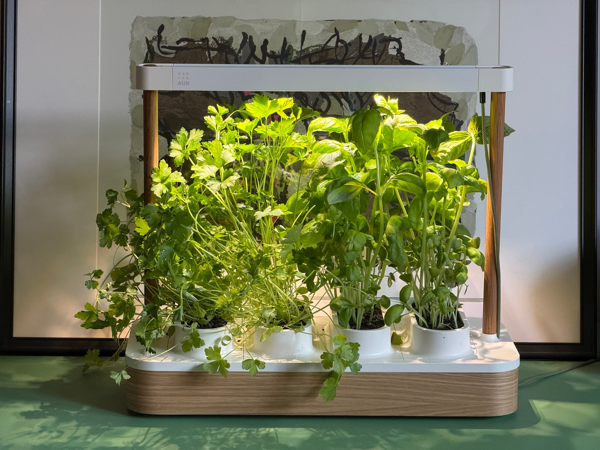 Test du Auk Mini 2 : un jardin intérieur qui fonctionne presque trop bien