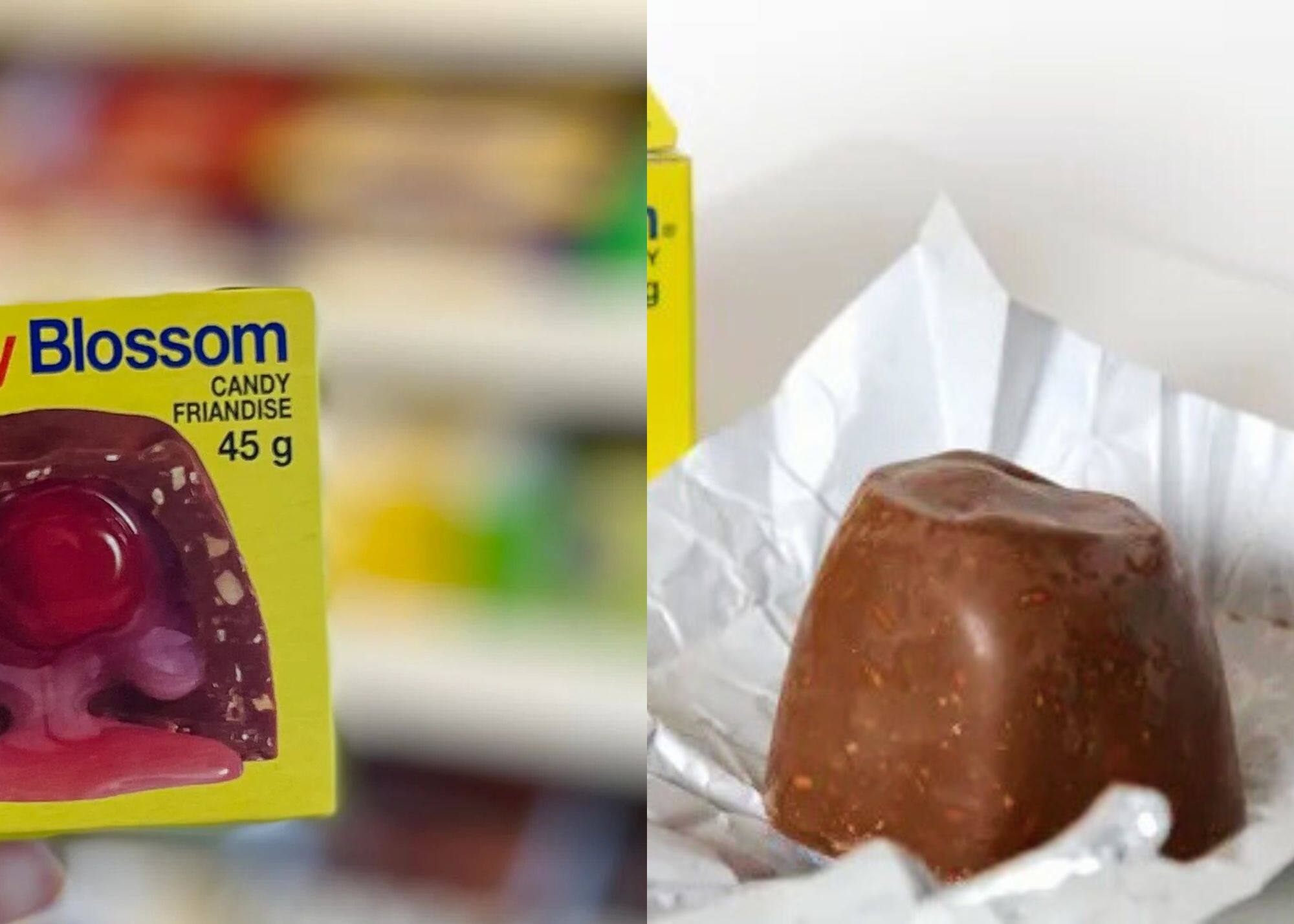 Image principale de l'article Ce bonbon vieux de 150 ans va disparaître