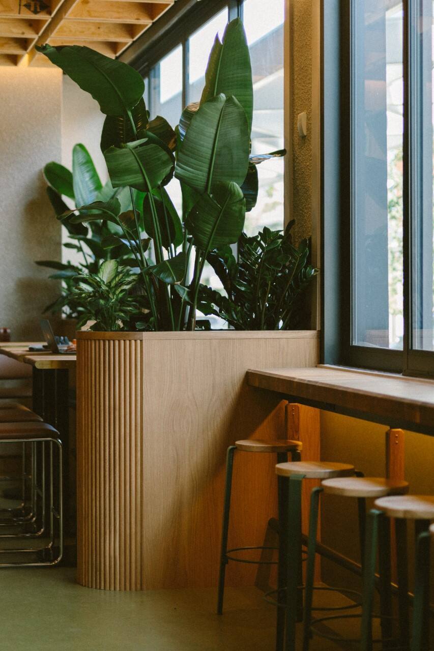 Une buvette où s’installer du café au «5 à tard» ouvre sur la Plaza