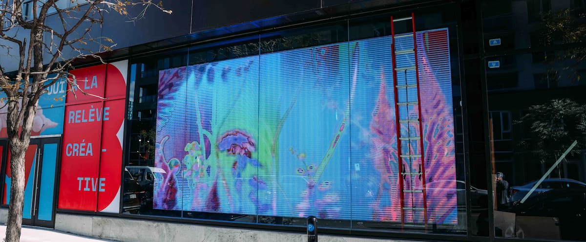 Un écran géant digne de Time Square