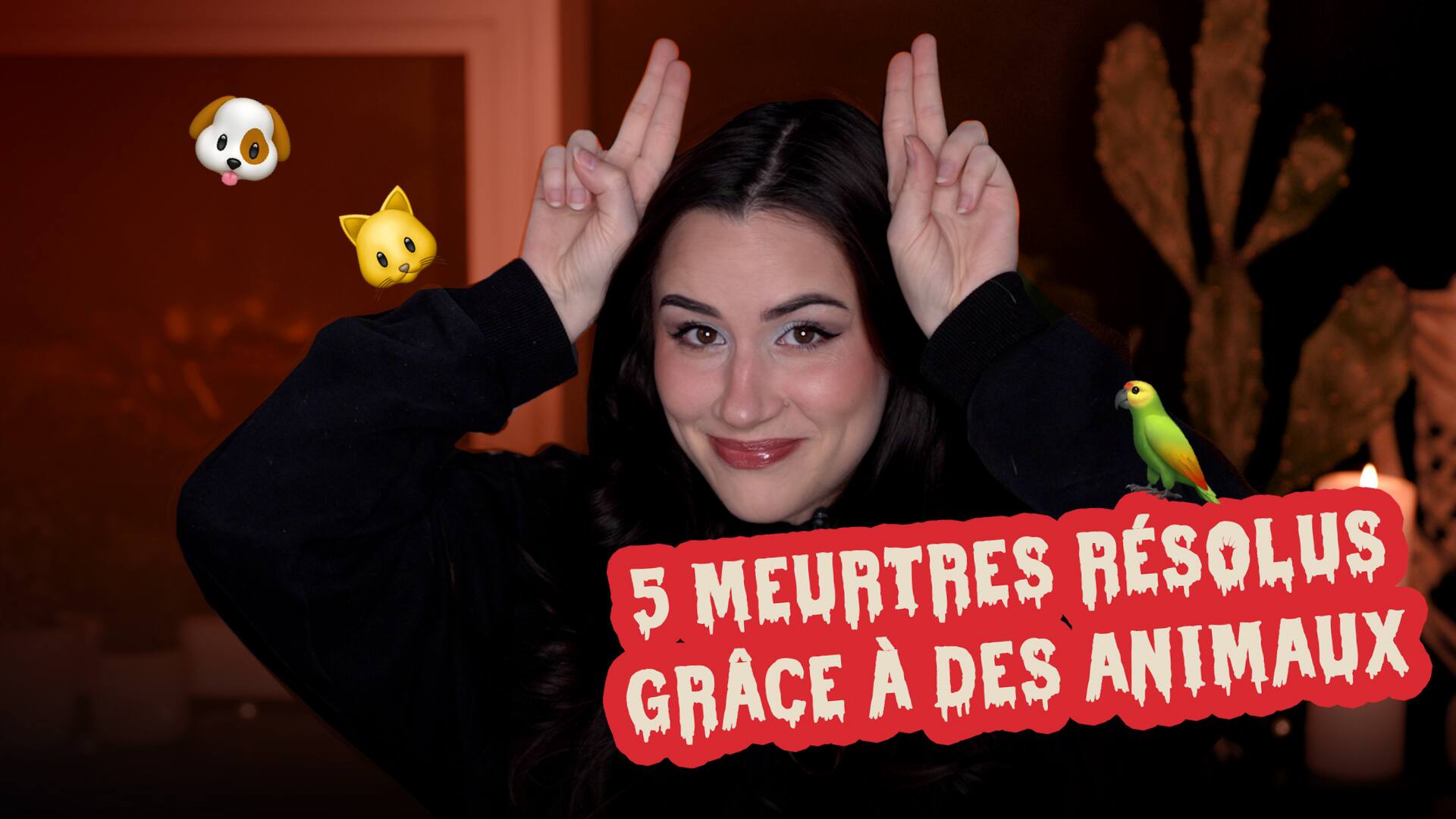 5 meurtres résolus grâce à des animaux