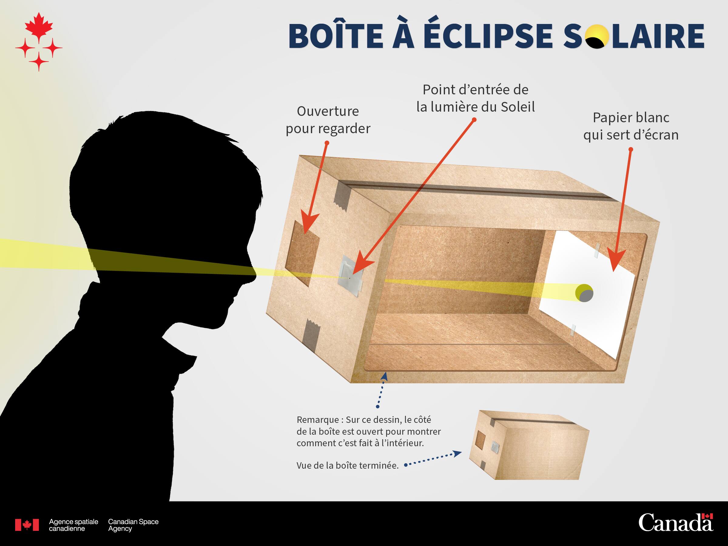 Voici comment fabriquer une boîte pour observer l’éclipse solaire sans ...