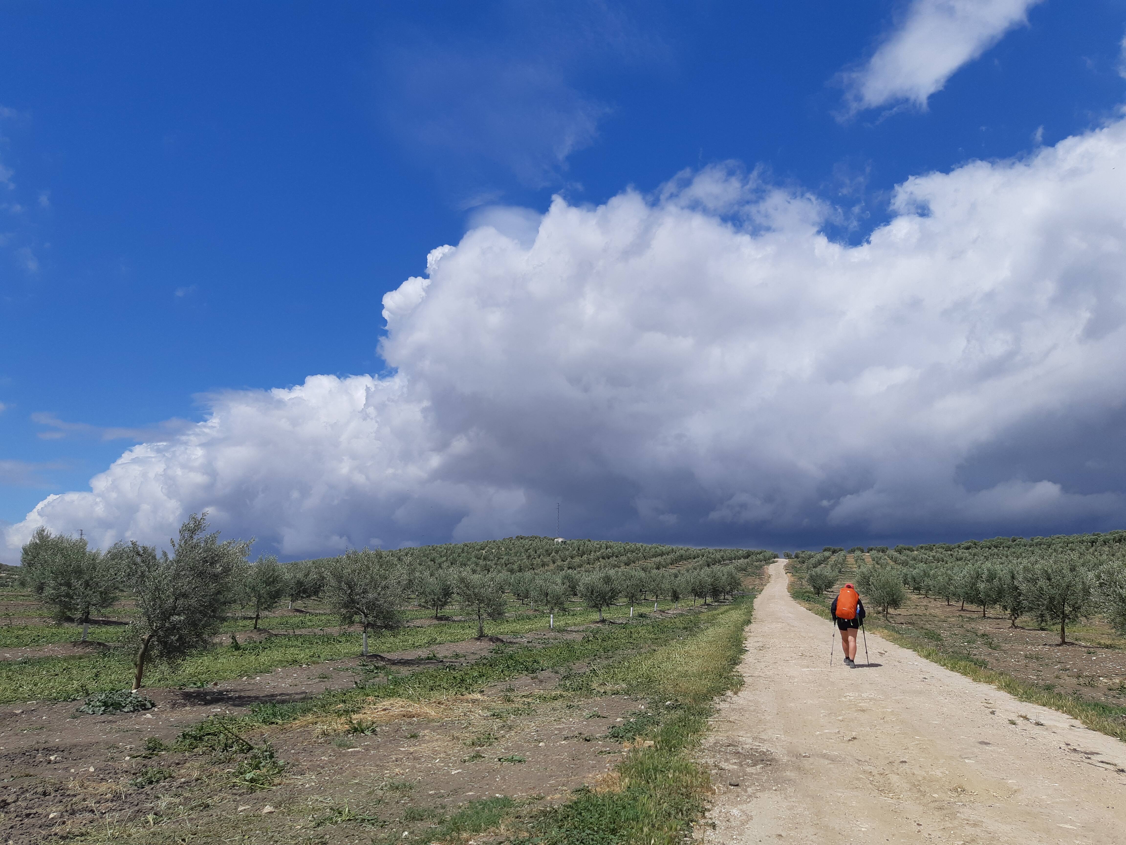 Compostelle et le chemin Mozarabe: comment on a surv&eacute;cu &agrave; notre longue randonn&eacute;e sous le soleil br&ucirc;lant du sud de l&rsquo;Espagne