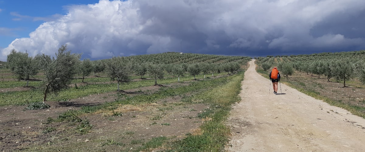 Compostelle et le chemin Mozarabe: comment on a survécu à notre longue randonnée sous le soleil brûlant du sud de l’Espagne
