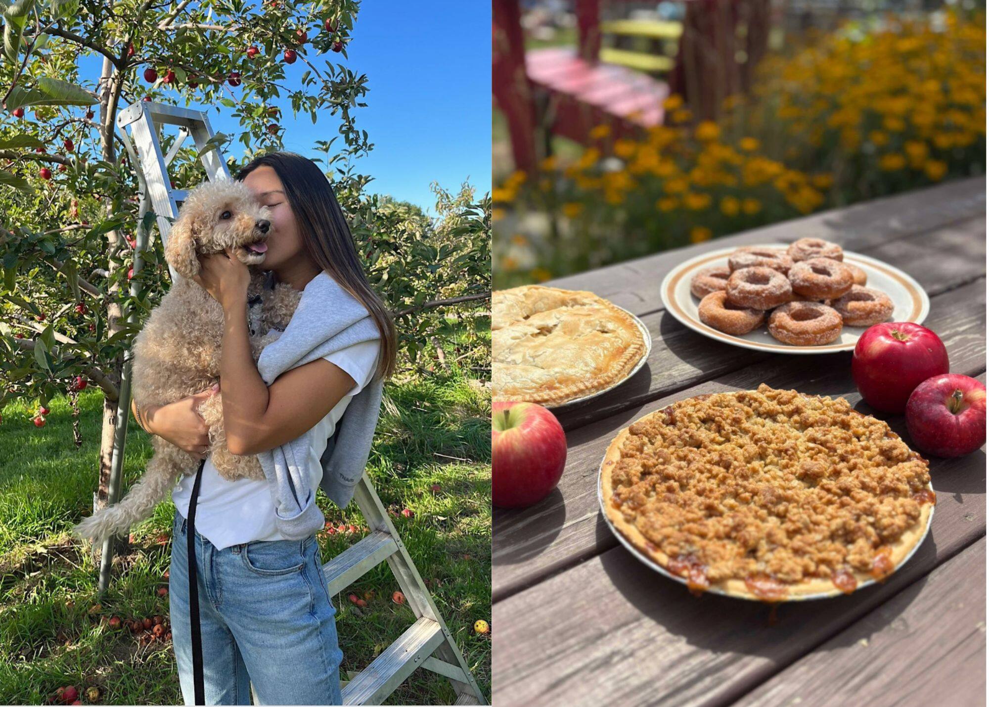 Les meilleurs vergers de la Rive-Nord de Montréal