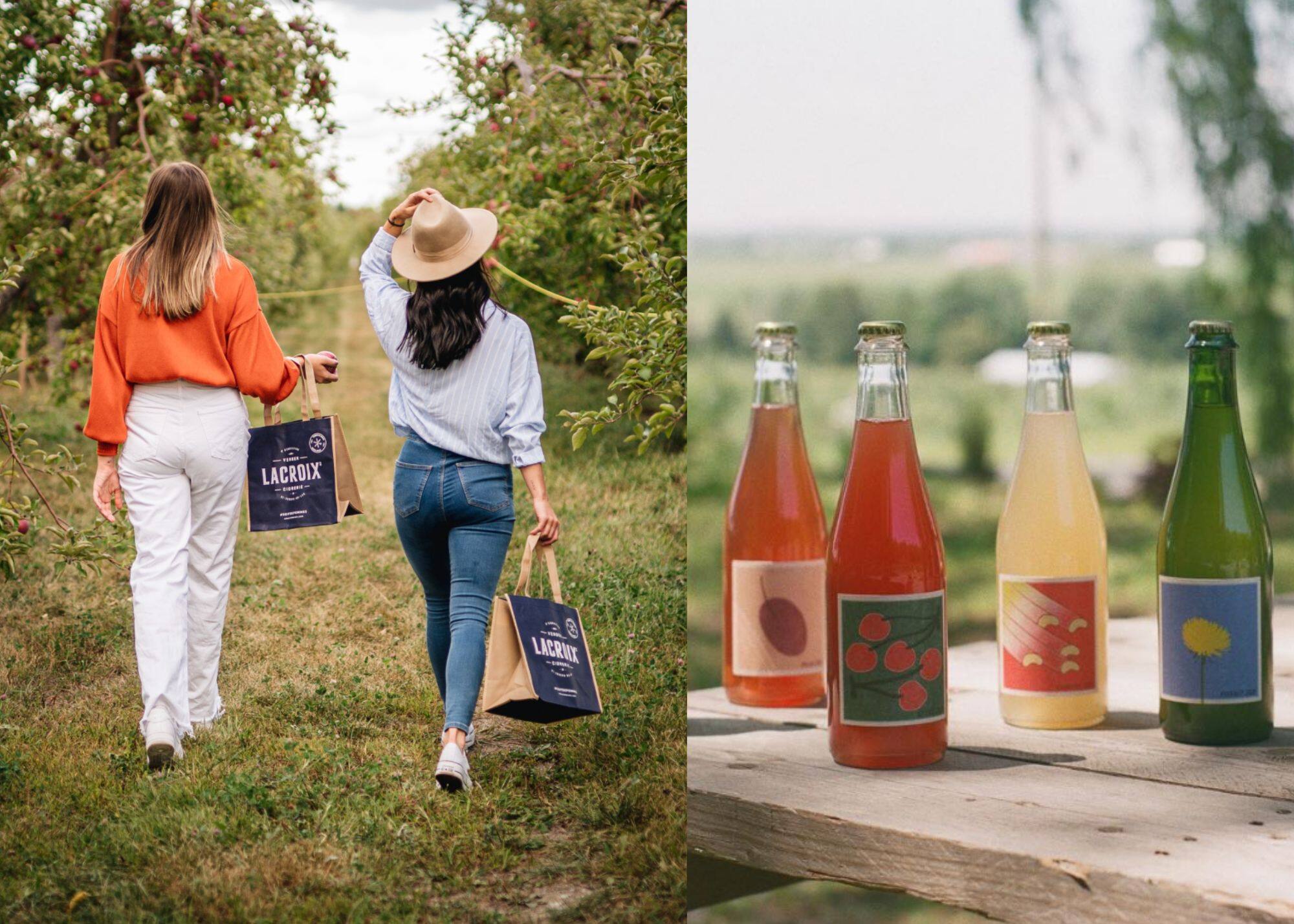 5 cidreries où cueillir des pommes 