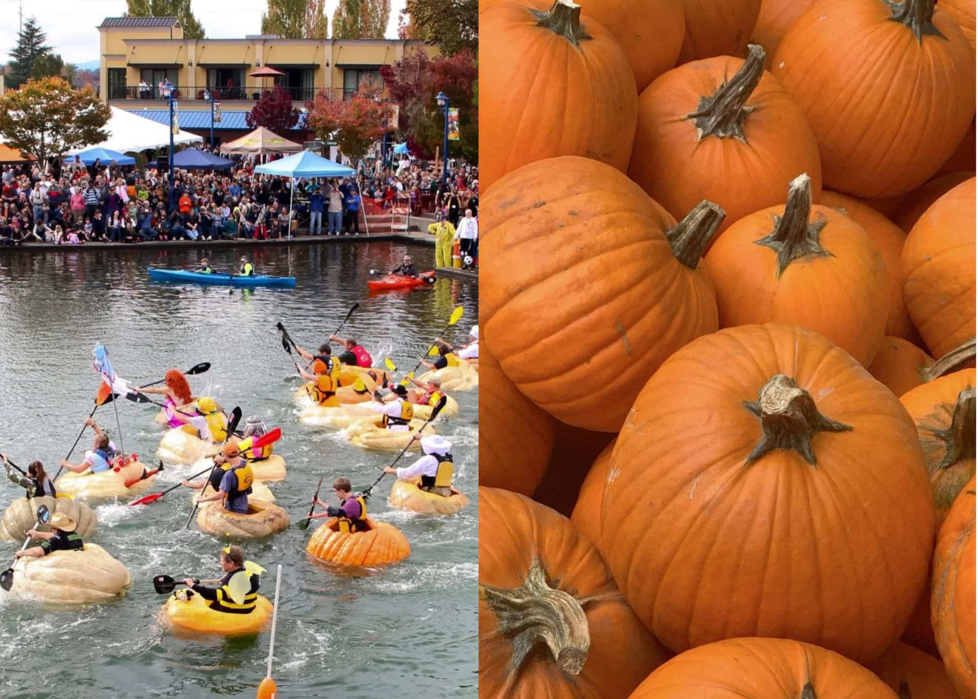 Cette ville organise une course de citrouilles
