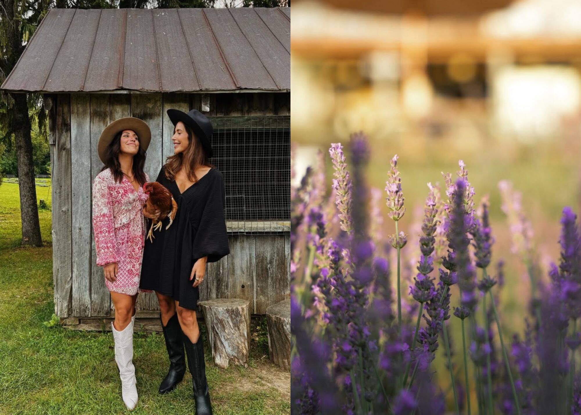 Les sœurs Ferron brisent le silence 