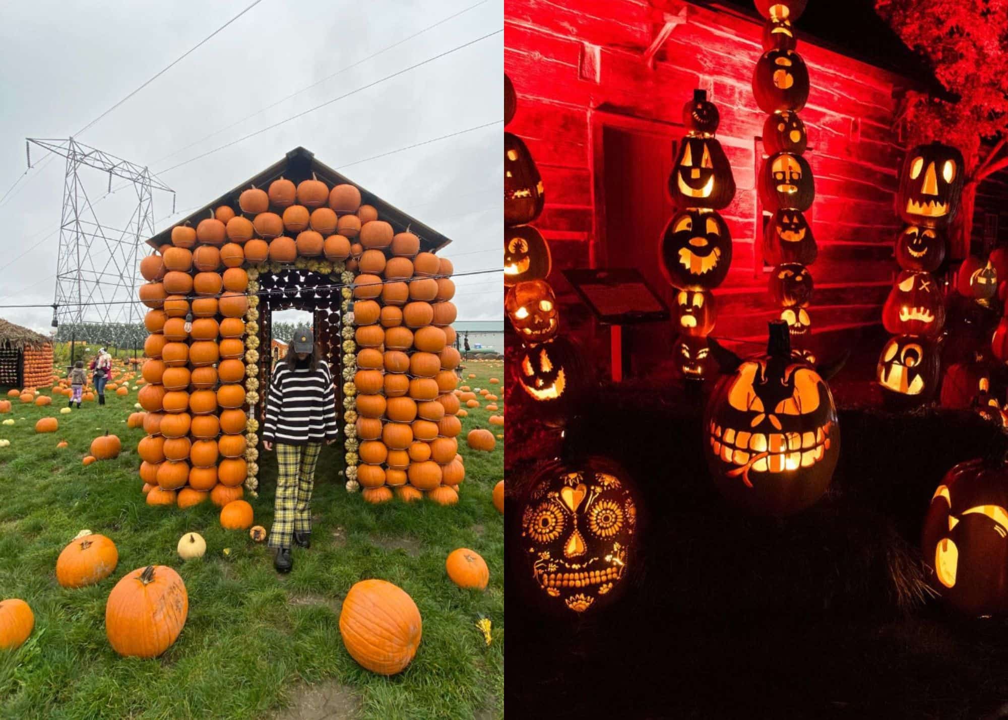 9 activités pour ceux qui ont la trouille