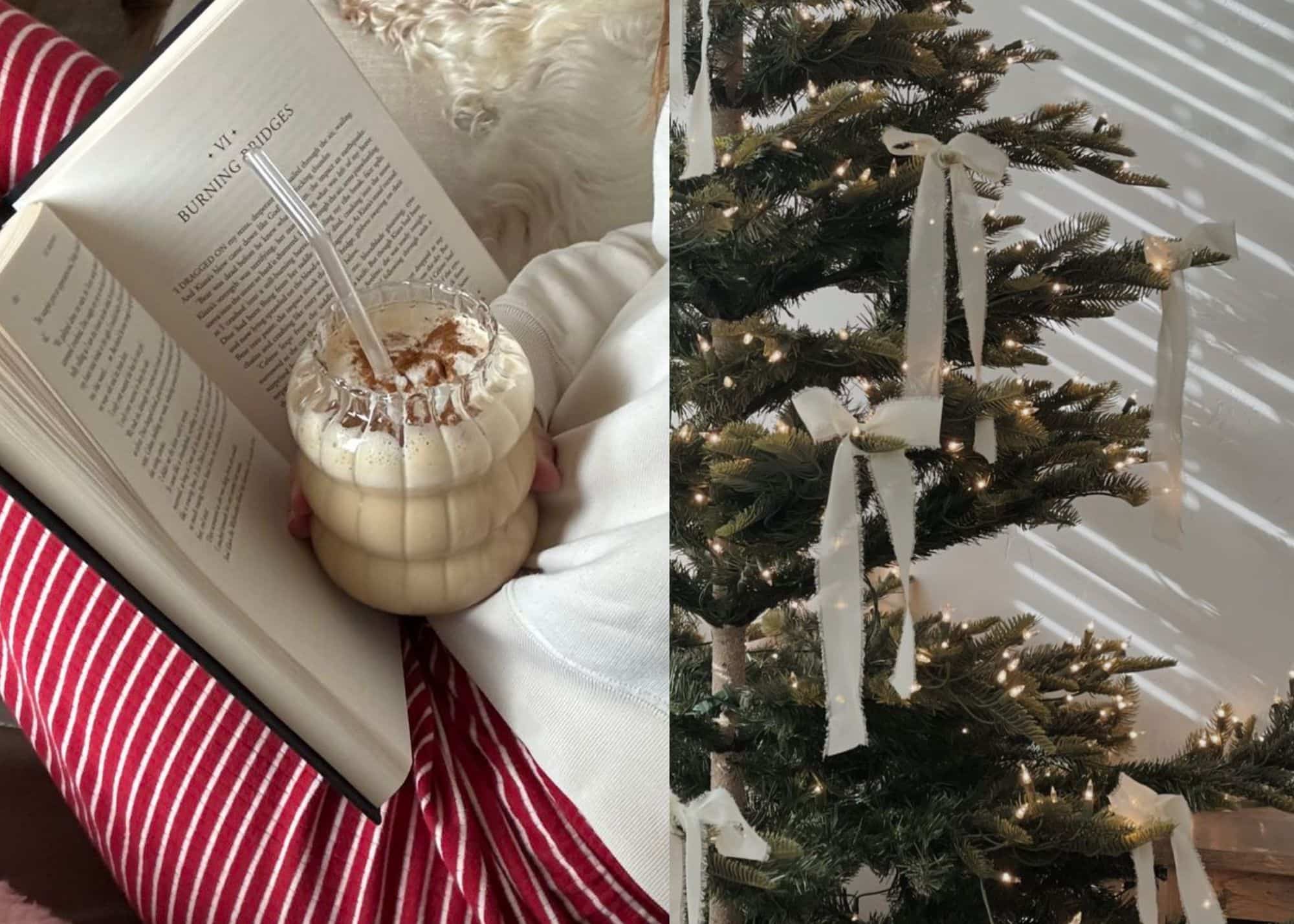 10 nouveautés littéraires à glisser sous le sapin