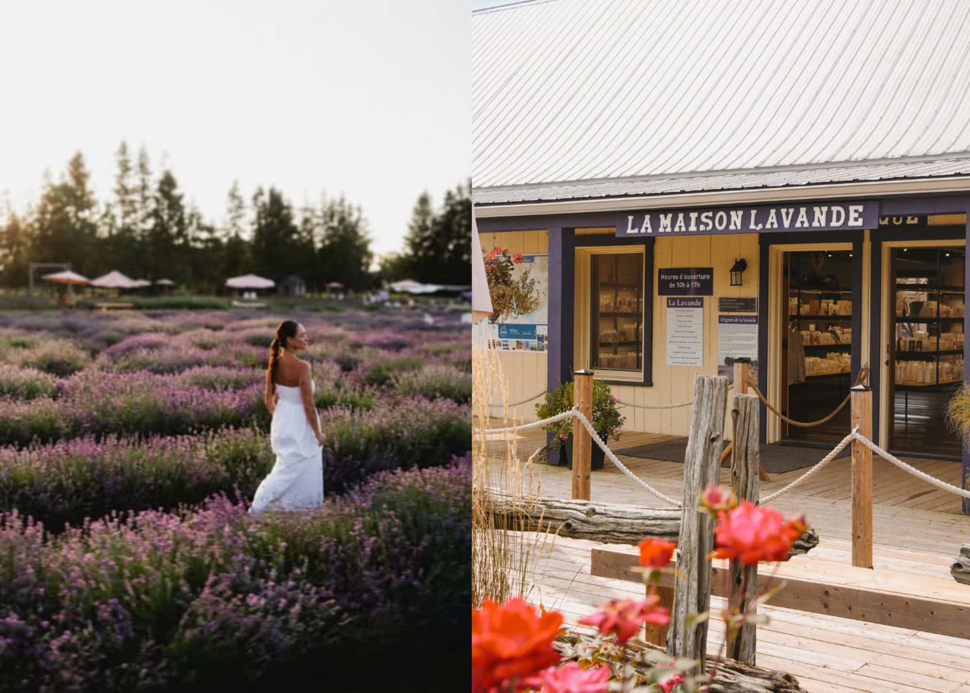 La visite dans les champs c'est pour bientôt!