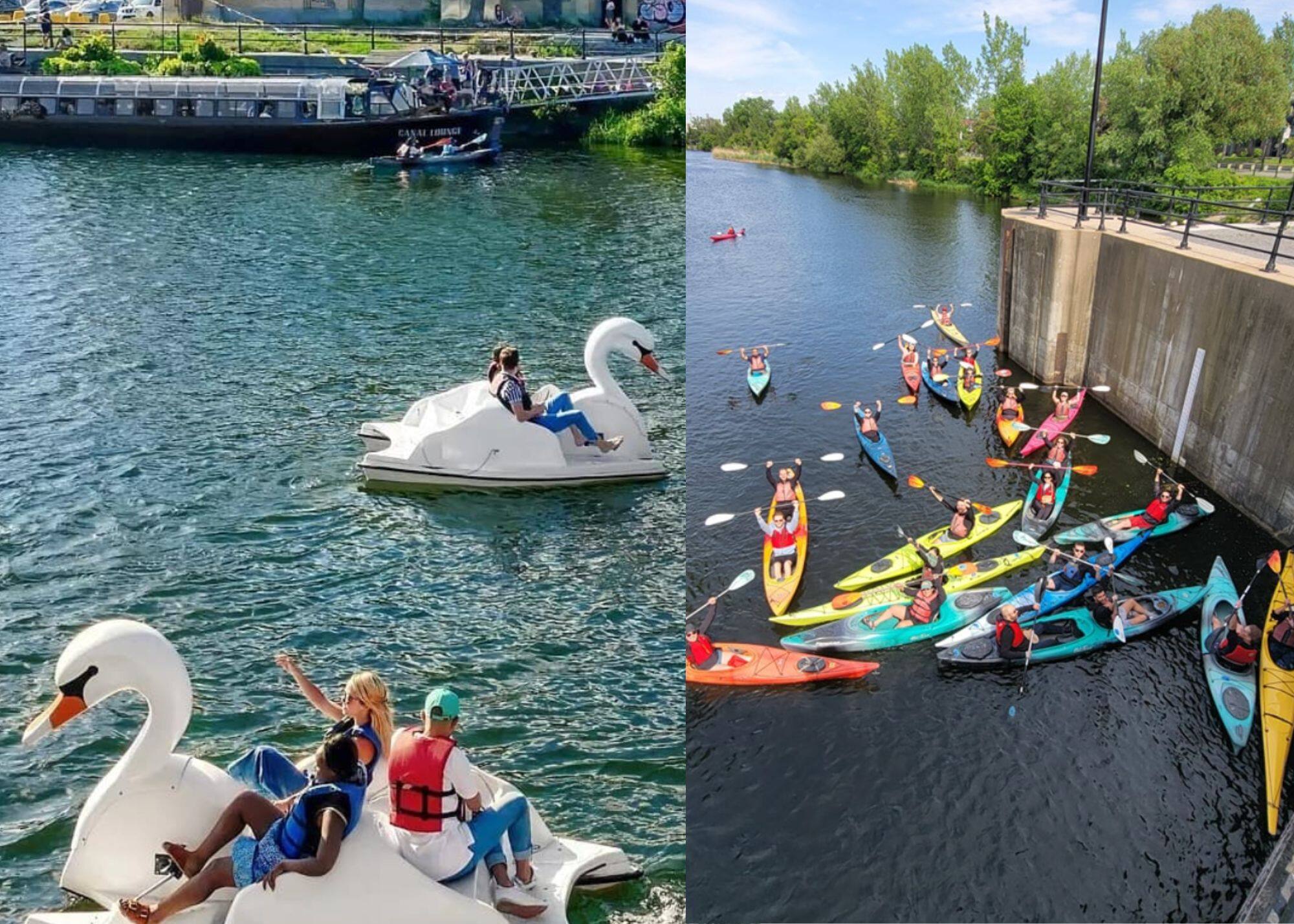 Les pédalos de cygnes géants de retour à Montréal